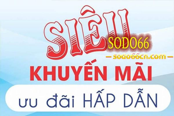 sodo66-co-nen-tham-gia-ca-cuoc-tai-nha-cai-so-do-hay-khong